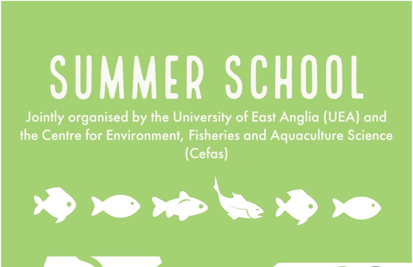 cdt_summer_school_header
